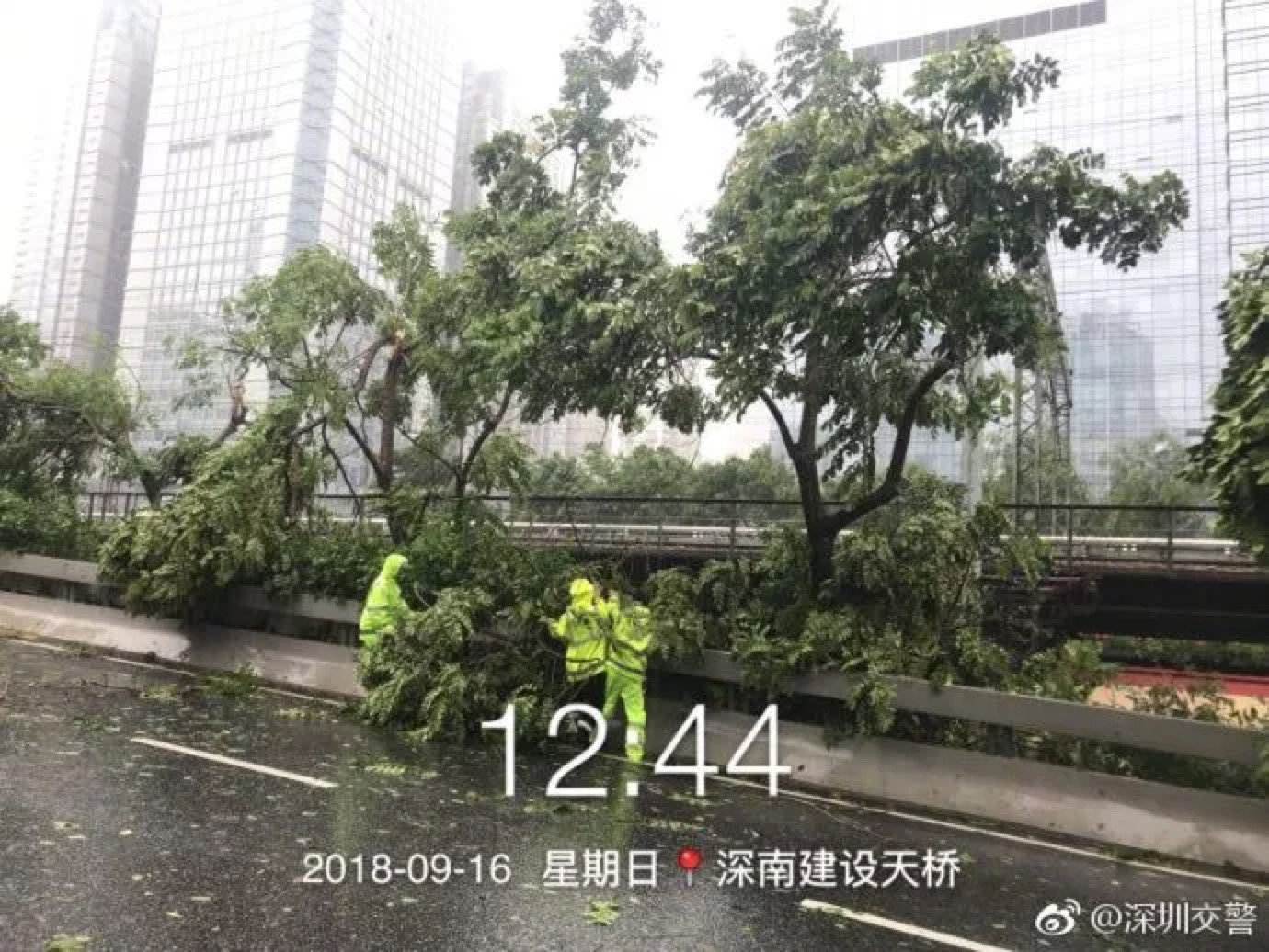 臺(tái)風(fēng)肆虐下的深圳人